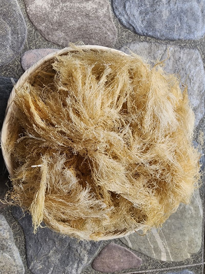 김태환님의 장터 판매 상품 [(도하네농장) 제주 청정 우뭇가사리] 첨부 사진