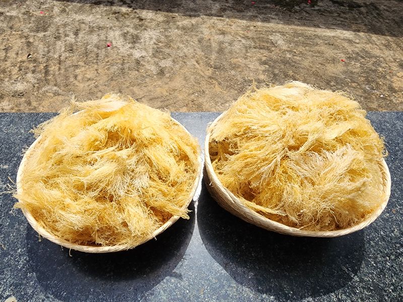 김태환님의 장터 판매 상품 [(도하네농장) 제주 청정 우뭇가사리] 첨부 사진