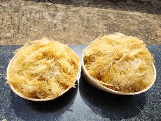 김태환님의 작성글 사진