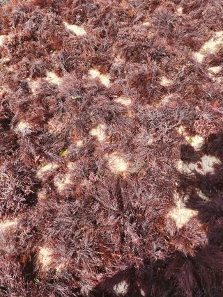 김태환님의 작성글 사진