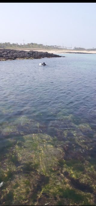 김태환님의 작성글 사진