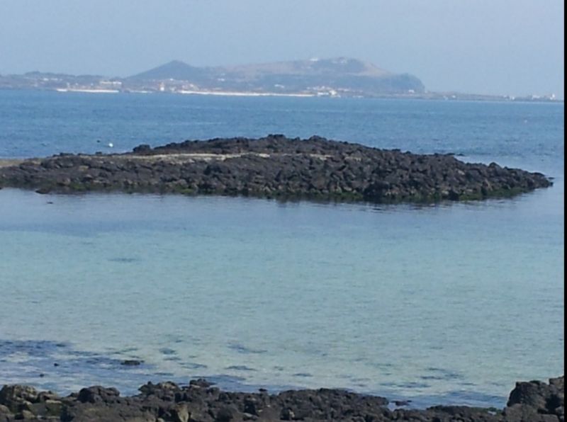 김태환님의 장터 판매 상품 [(도하네농장) 제주 청정 우뭇가사리] 첨부 사진