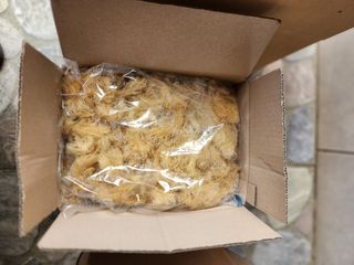 김태환님의 작성글 사진