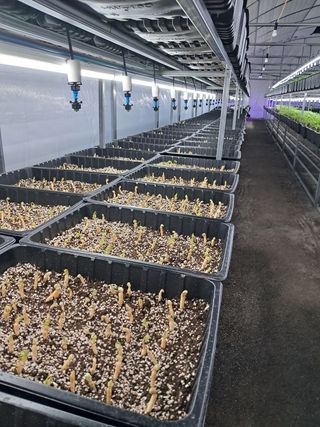 박홍수 님의 기타작물 · 자유게시판 작성글 사진