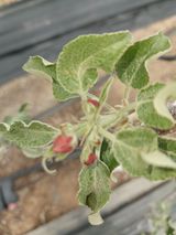 팜모닝 자유주제·자유게시판 게시글 이미지