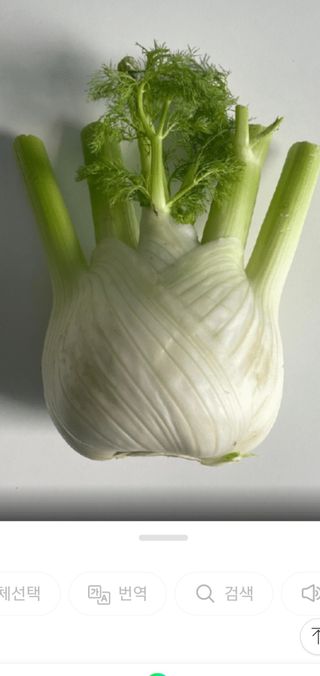 퇴근농님의 기타작물 · 자유게시판 작성글 사진