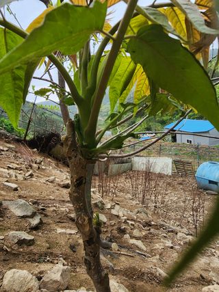 정영숙님의 자유주제 · 자유게시판 작성글 사진