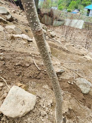 정영숙님의 자유주제 · 자유게시판 작성글 사진