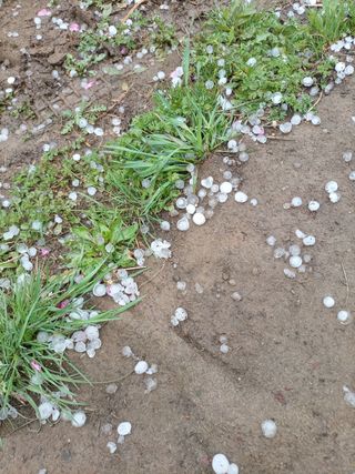 이황희님의 복숭아 · 자유게시판 작성글 사진