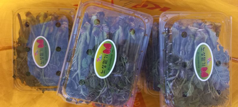 장터 상품 [나무 두릅과 엄나무순] 썸네일