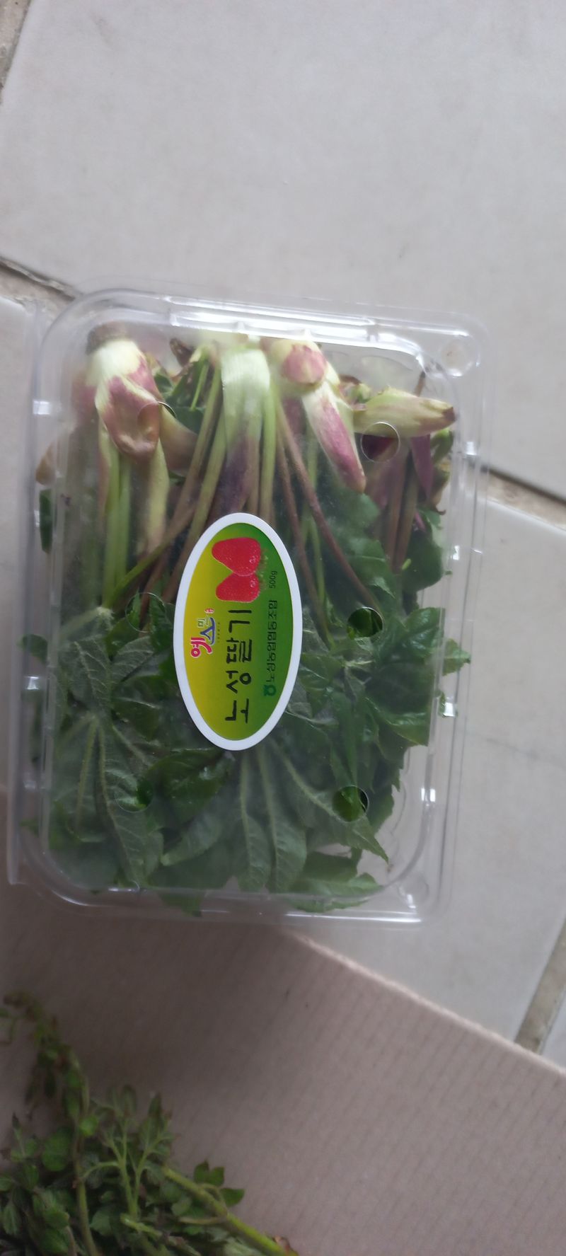 논산 농부 부인님의 장터 판매 상품 [나무 두릅과 엄나무순] 첨부 사진