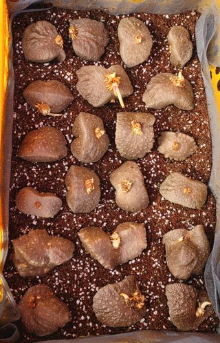 심기섭님의 장터이야기 · 자유게시판 작성글 사진