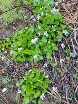 팜모닝 감자·자유게시판 게시글 이미지