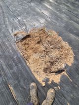 팜모닝 감·자유게시판 게시글 이미지