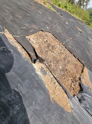 반도님의 감 · 자유게시판 작성글 사진