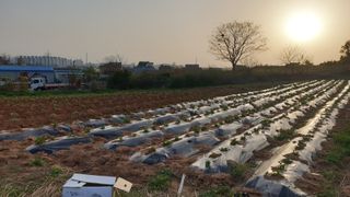 김영준님의 기타작물 · 자유게시판 작성글 사진