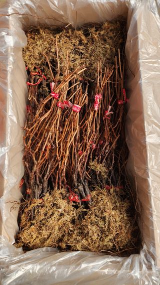 도기백님의 작성글 사진