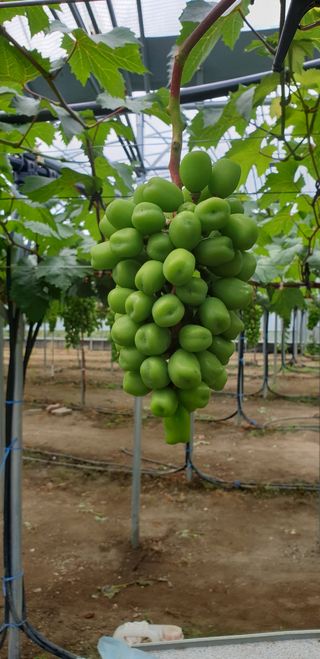 도기백님의 작성글 사진