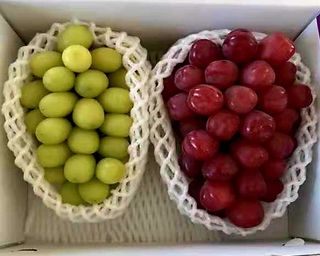 도기백님의 작성글 사진