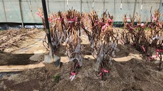 도기백님의 작성글 사진