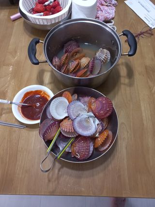 송남호님의 자유주제 · 자유게시판 작성글 사진