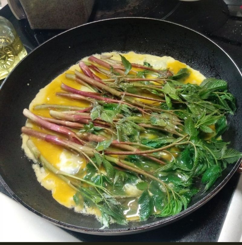 차현석님의 장터 판매 상품 [눈개승마 1kg] 첨부 사진