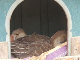 님프의 숲님의 작성글 사진