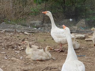 님프의 숲님의 작성글 사진