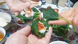 농부아내님의 작성글 사진