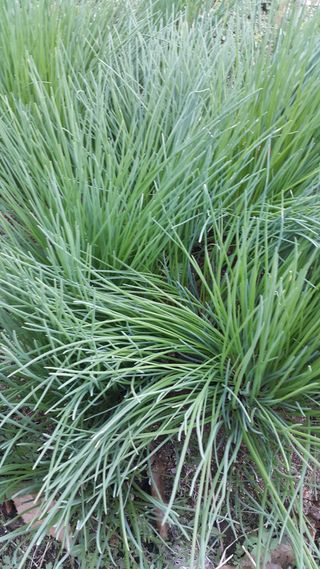 정보센터님의 파 · 자유게시판 작성글 사진