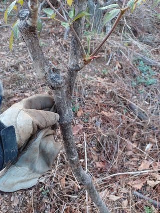 알 수 없음님의 기타작물 · 자유게시판 작성글 사진