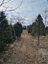 팜모닝 · 게시글 이미지