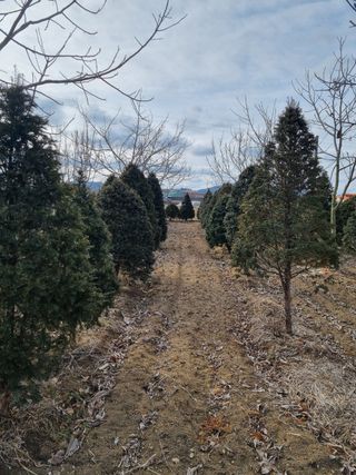 韓基學님의 작성글 사진