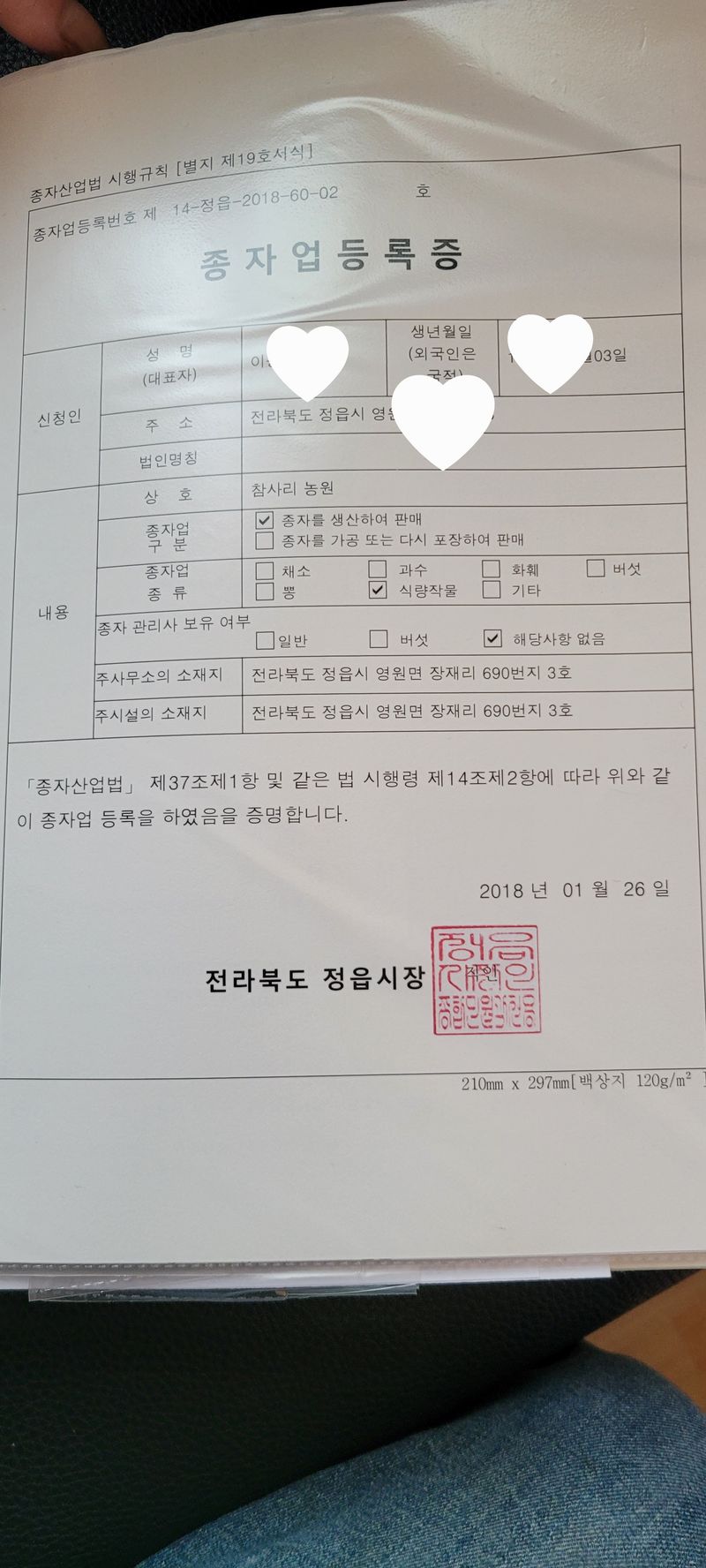 이동훈님의 장터 판매 상품 [고구마종순1단(100)기준] 첨부 사진