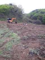 팜모닝 우리동네·구합니다/도움요청 게시글 이미지