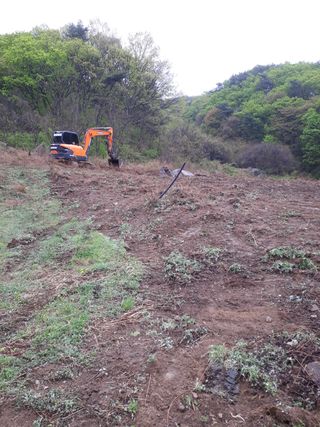 호백운님의 우리동네 · 구합니다/도움요청 작성글 사진
