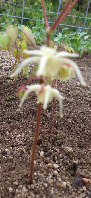 김해숙님의 기타작물 · 자유게시판 작성글 사진