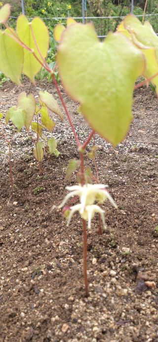 김해숙님의 기타작물 · 자유게시판 작성글 사진