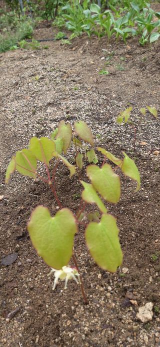 김해숙님의 기타작물 · 자유게시판 작성글 사진