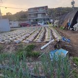 팜모닝 자유주제·자유게시판 게시글 이미지