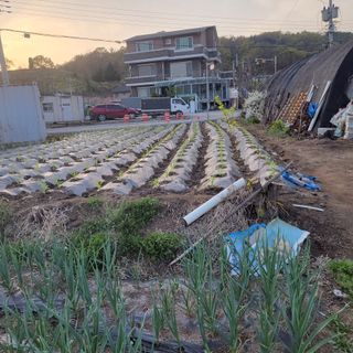 숙이짱님님의 자유주제 · 자유게시판 작성글 사진