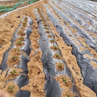 숙이짱님님의 자유주제 · 자유게시판 작성글 사진