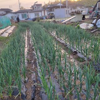 숙이짱님님의 자유주제 · 자유게시판 작성글 사진