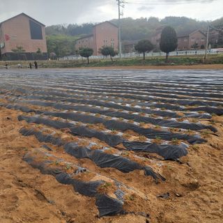 숙이짱님님의 자유주제 · 자유게시판 작성글 사진