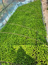 팜모닝 자유주제·자유게시판 게시글 이미지