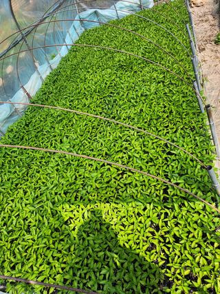 갈마골님의 자유주제 · 자유게시판 작성글 사진