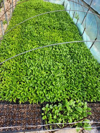 갈마골님의 자유주제 · 자유게시판 작성글 사진