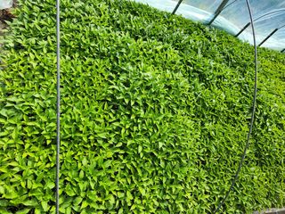 갈마골님의 자유주제 · 자유게시판 작성글 사진