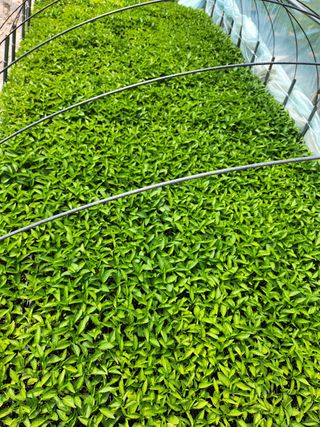 갈마골님의 자유주제 · 자유게시판 작성글 사진