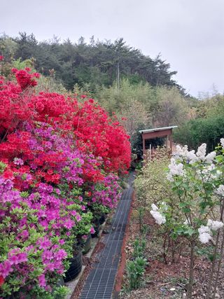 박우범님의 버섯 · 일상 작성글 사진